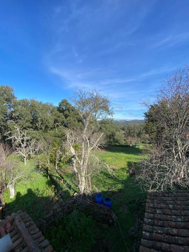 Espaciosa Y Elegante Casa Rural En Los Marines Екстер'єр фото